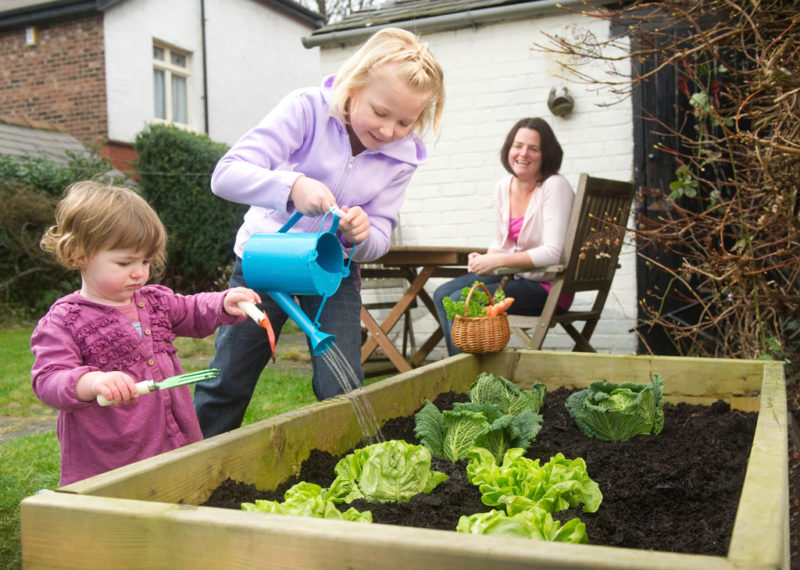 Best Soil For Gardening
