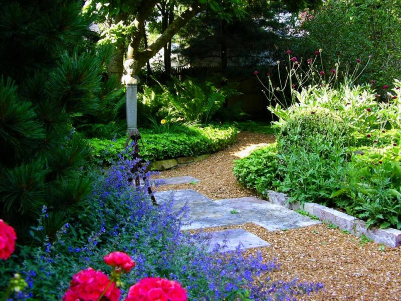 Gravel Pathway Garden Idea