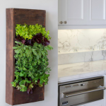 Green Spaces Inside The Kitchen