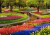 29 Best Flower Garden Ideas For Your Landscape Labyrinthine Garden