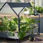 Lighting Management For Small Garden