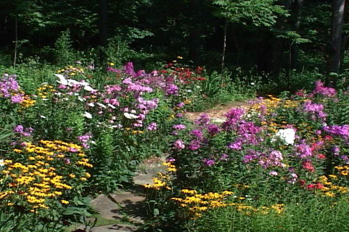 perennials-and-ornaments