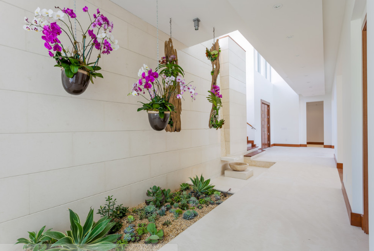 Plants For Indoor Garden