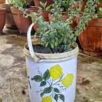 Portable Containers For Garden