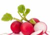 10 Easiest Vegetables To Grow Radishes
