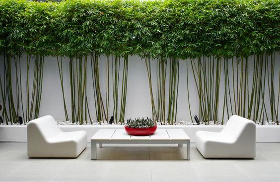 20 Modern Garden Design Ideas - InteriorSherpa