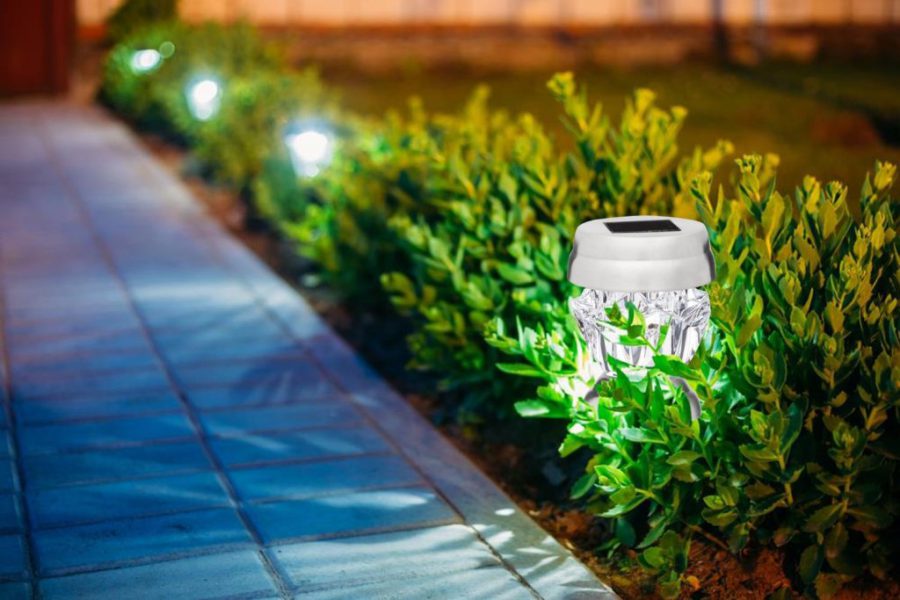 Solar Accent Lights