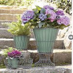 Suitable Containers For Your Garden