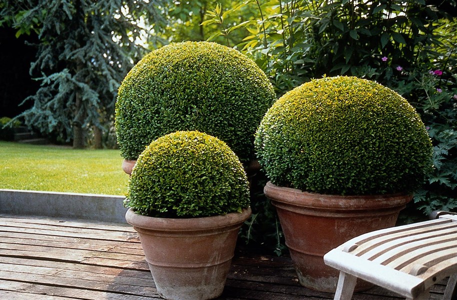 Terra Cotta Pieces For Small Garden