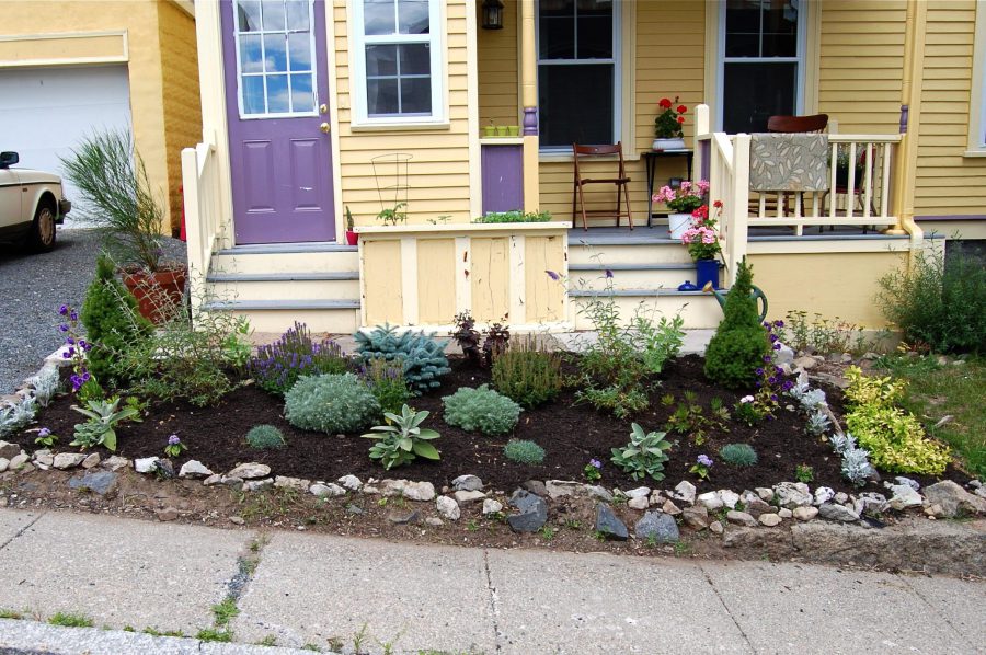 cheap front yard landscaping ideas