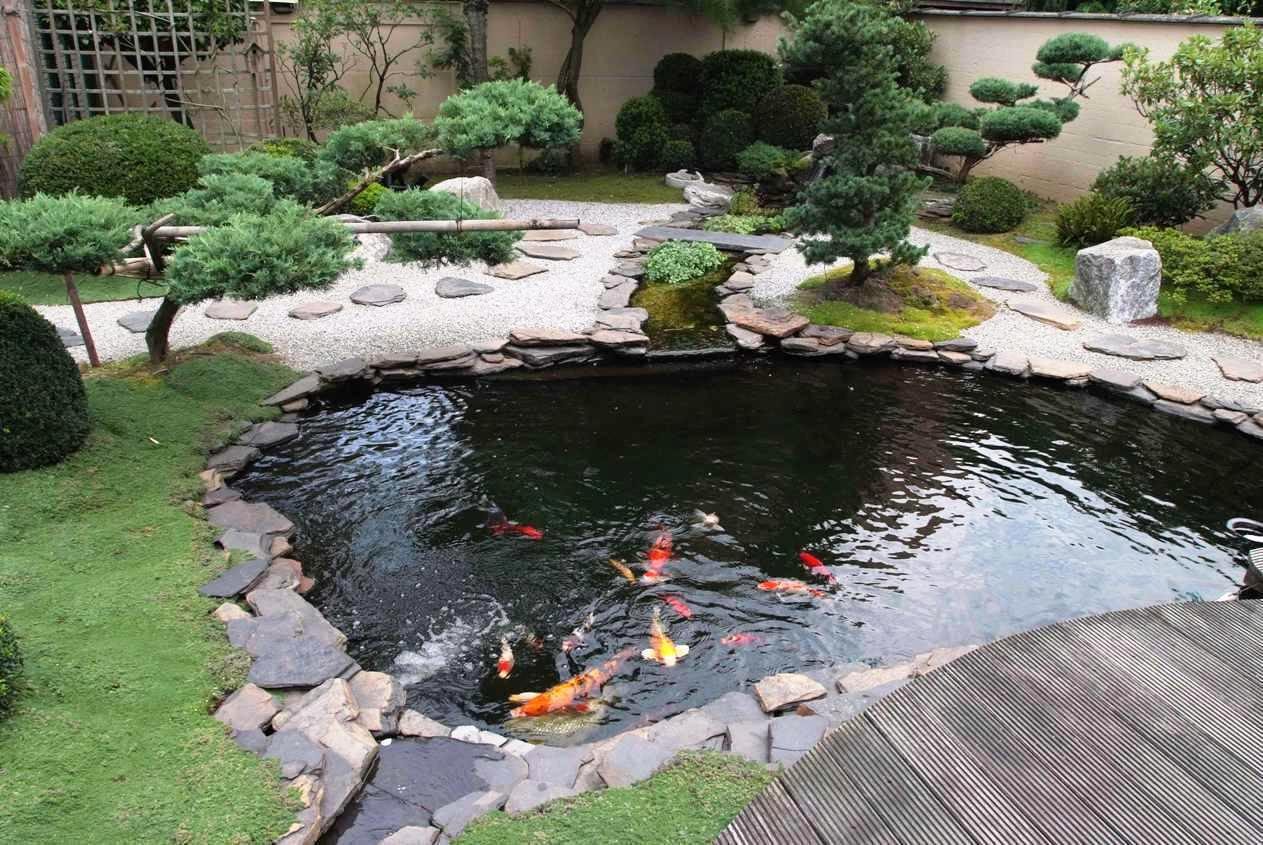 koi pond garden design ideas.