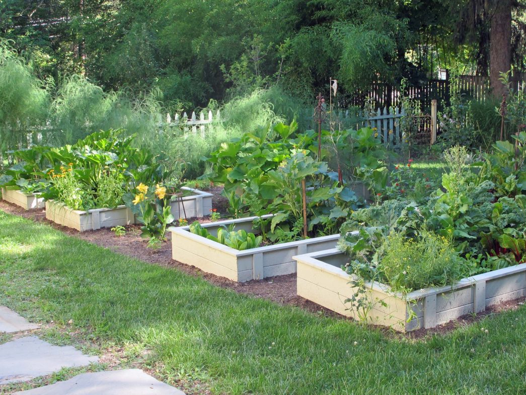 planter boxes garden ideas