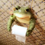 Frog Toilet paper Holder