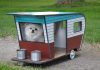 Unique Pet Bed Ideas