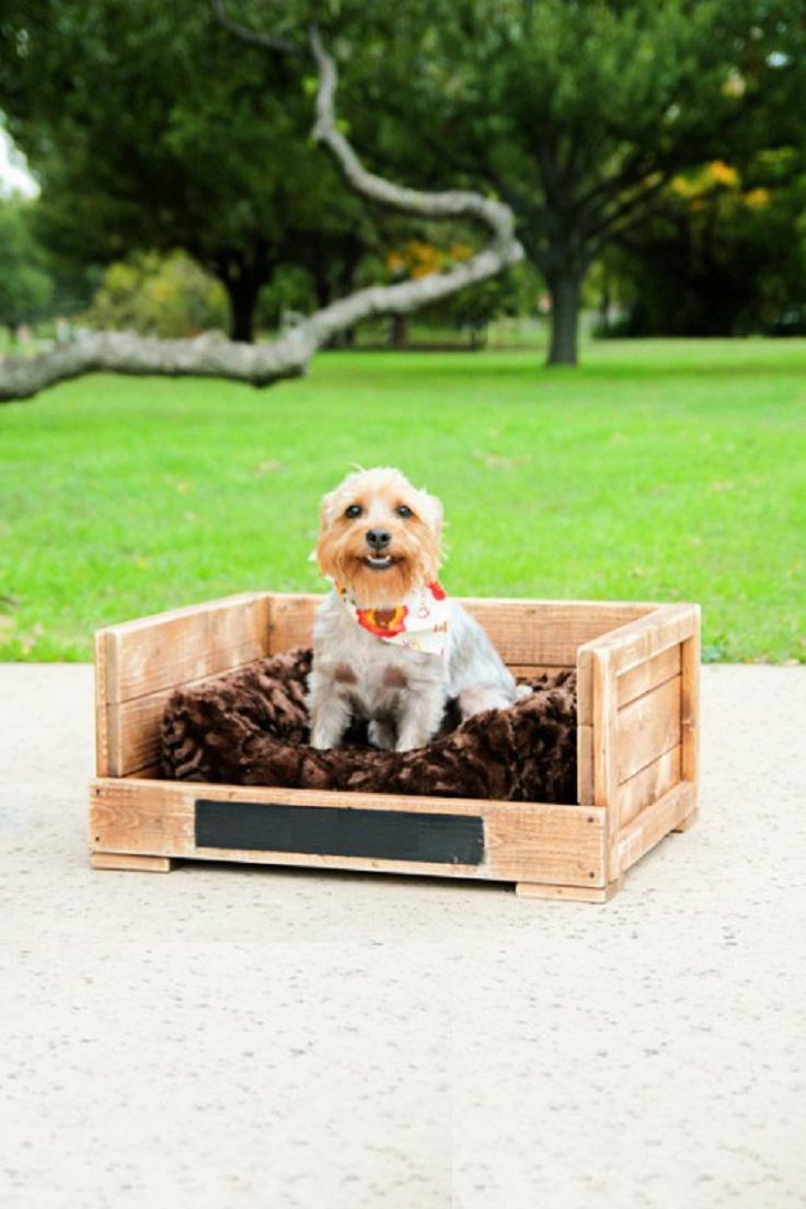outdoor dog bed