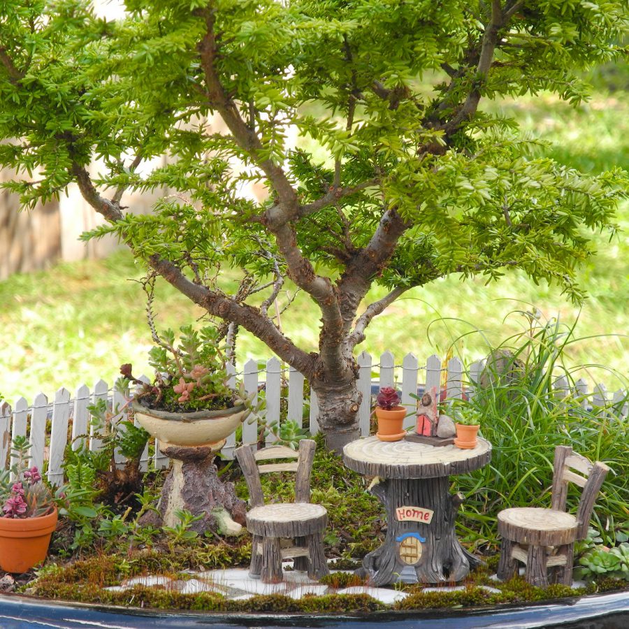 Gorgeous Fairy Garden Ideas