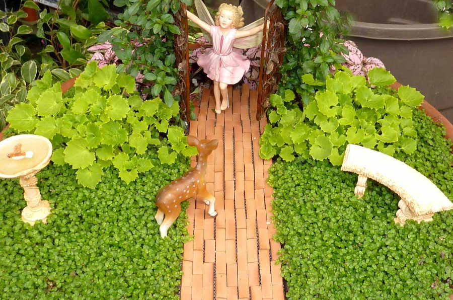 Magical Fairy Garden Design