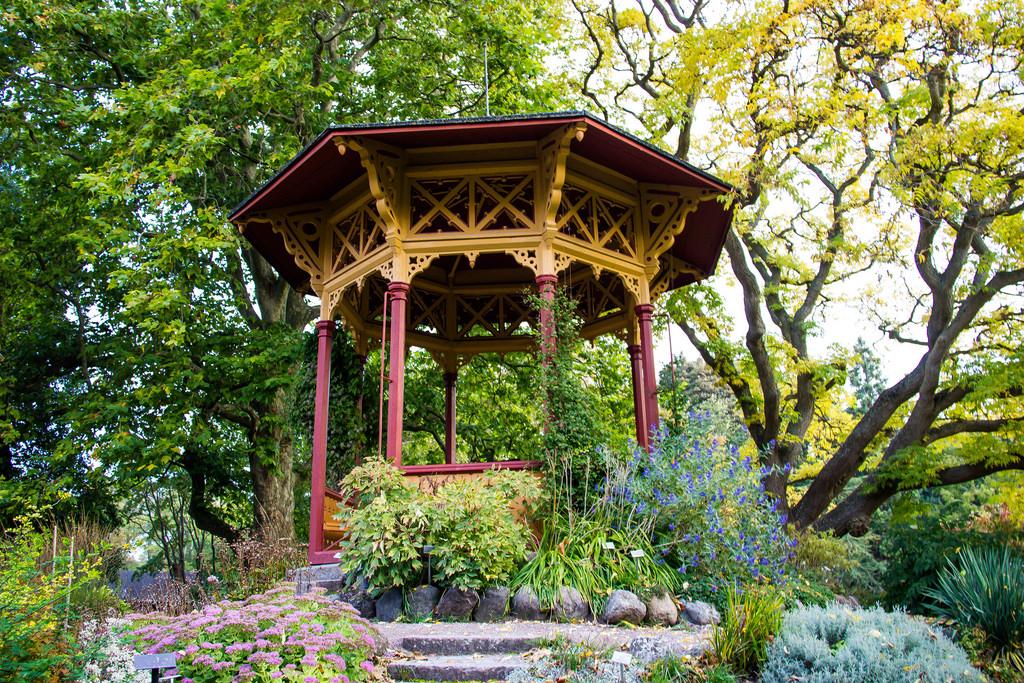 Beautiful open gazebo in oriental style