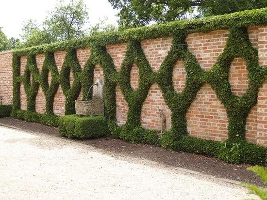 Brick fence can be decorated with climbing plants