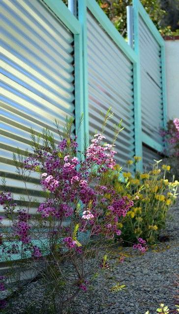 Magnificent fence made of profiled metal with turquoise edging