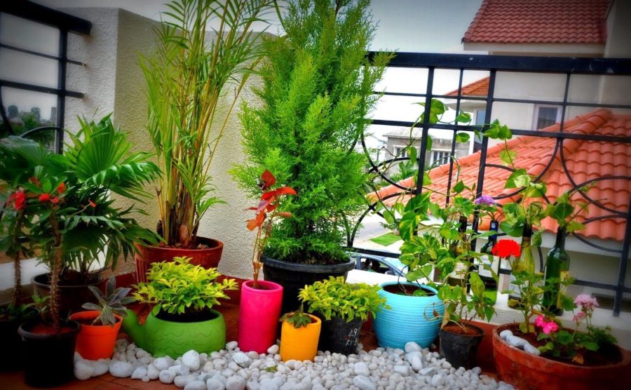 Balcony-Gardening With Pebbles Idea