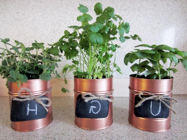 Tin Can Planters Idea for Balcony