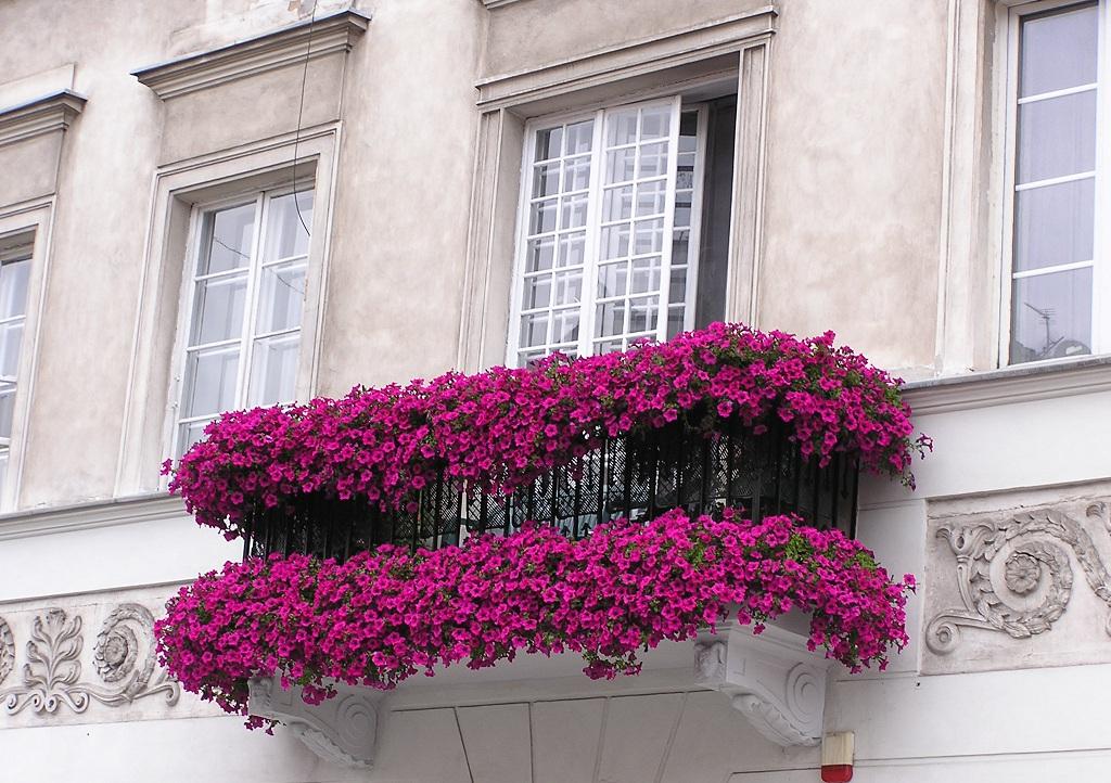 balcony flower garden ideas