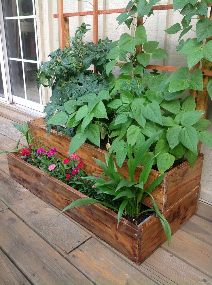 balcony herb garden ideas