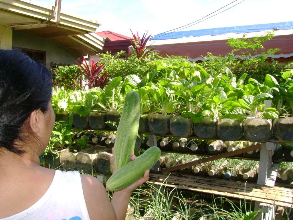 balcony vegetable garden ideas