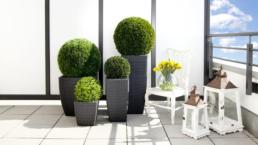 modern gardening ideas for apartment