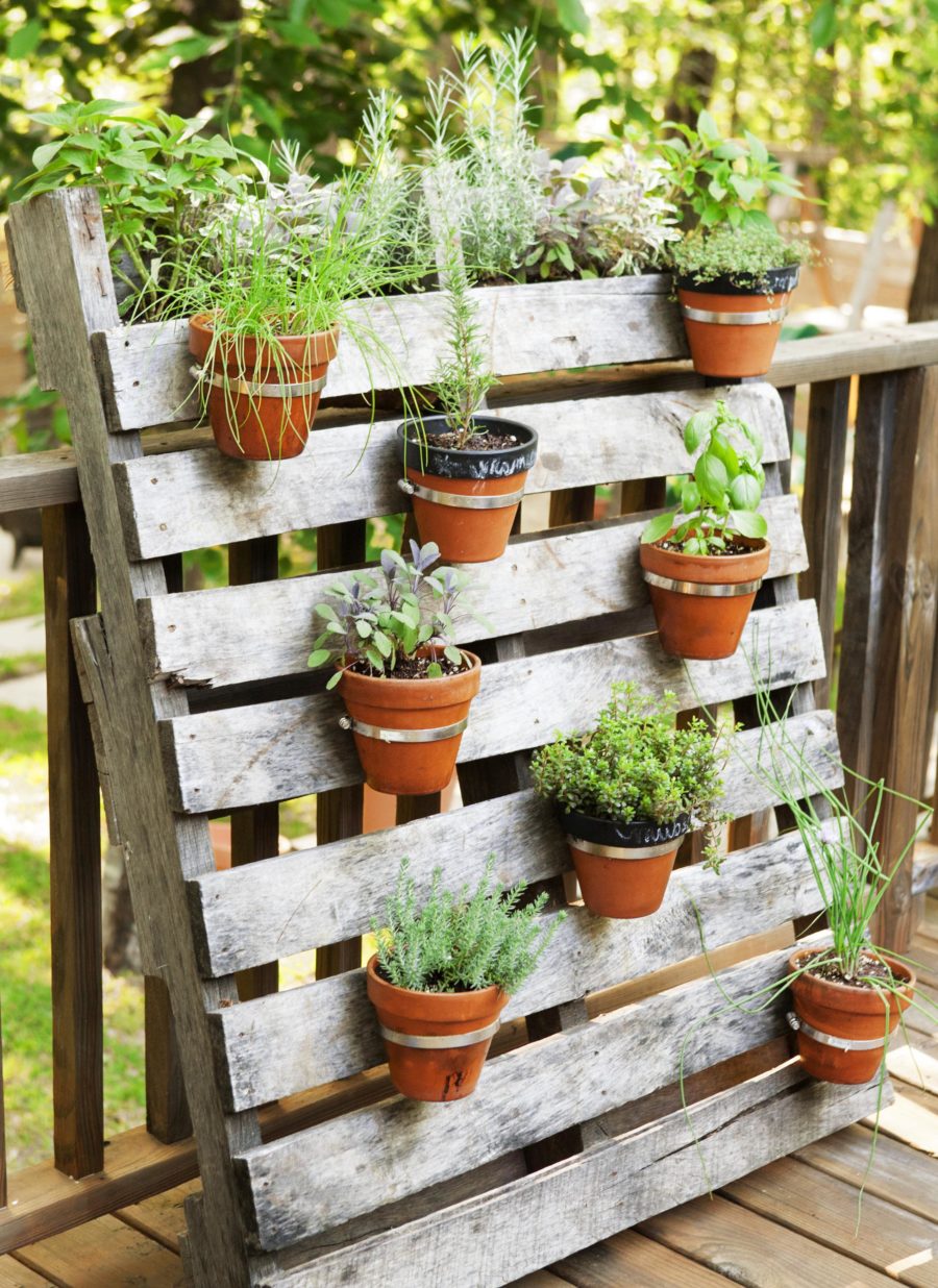 pallet herb garden