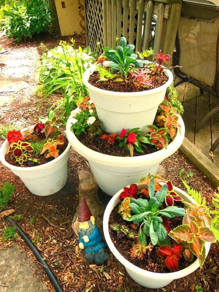 potted vegetable gardening terrace