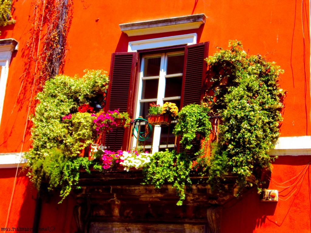 44 Best Balcony Garden Ideas To Make Your Space Beautiful ...