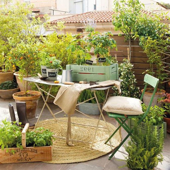 terrace with small trees and plants