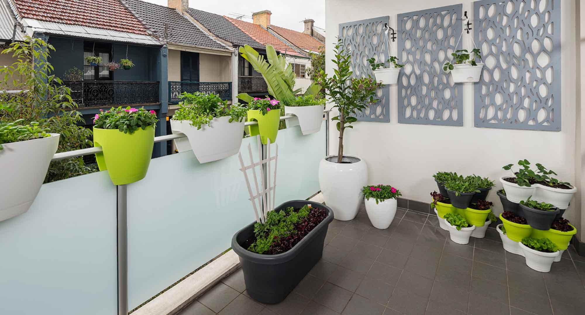 turn your small balcony into an edible vertical garden