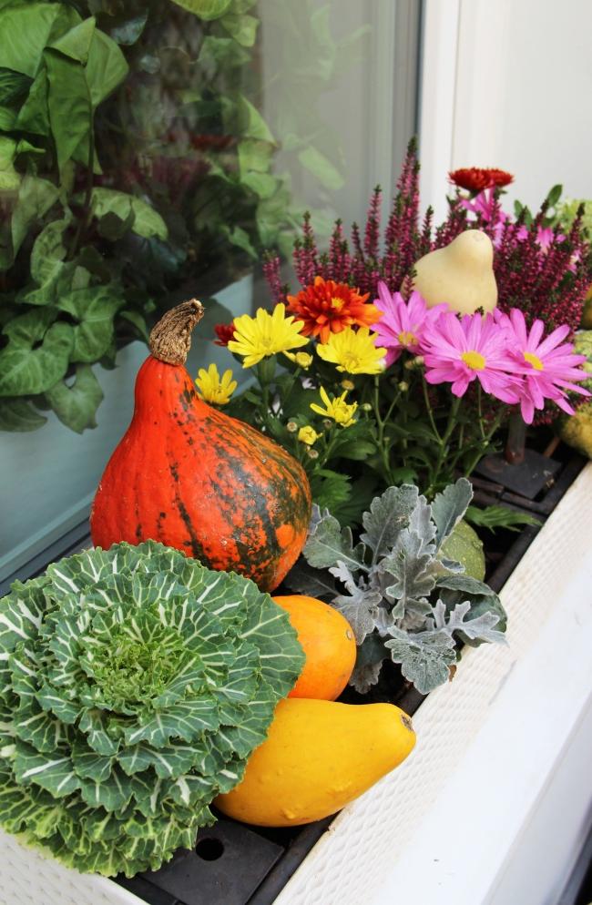 vegetable gardening in balcony