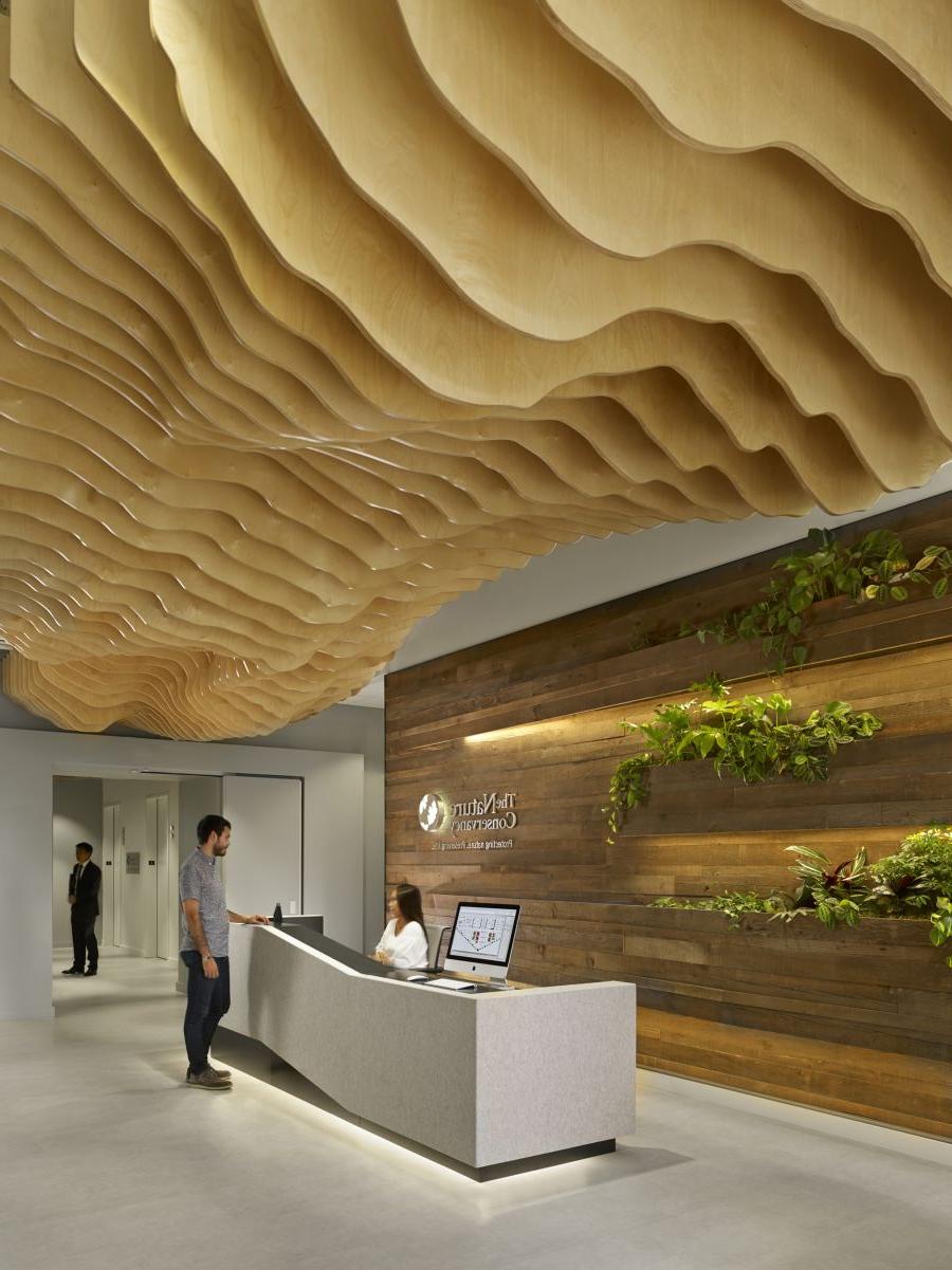 Natural Style Wood Ceiling Ideas