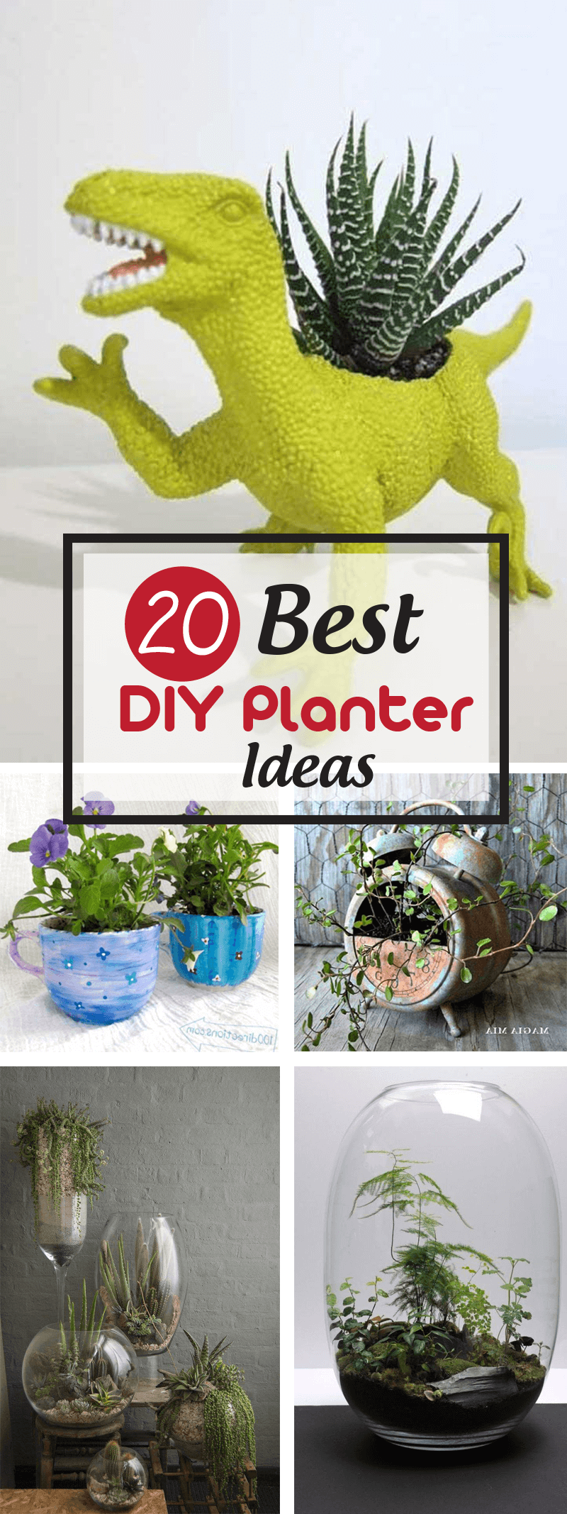 Best DIY Planter Ideas