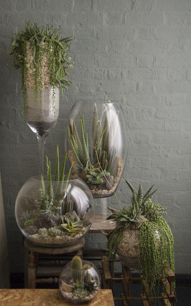 Easy DIY Planter Ideas