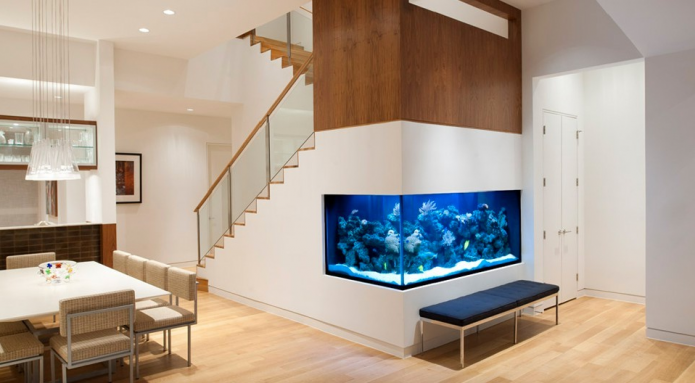 Aquarium Under Staircase