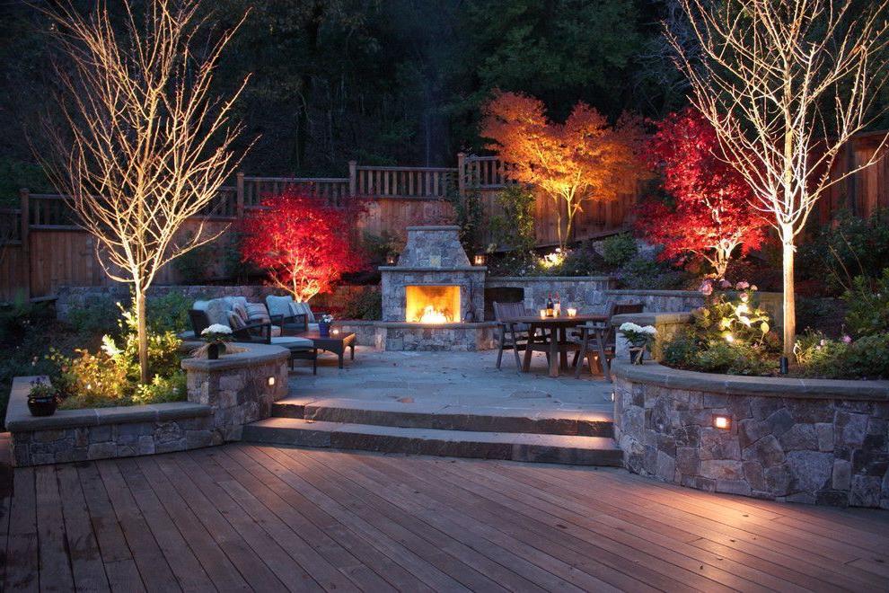 Accent lighting of garden trees