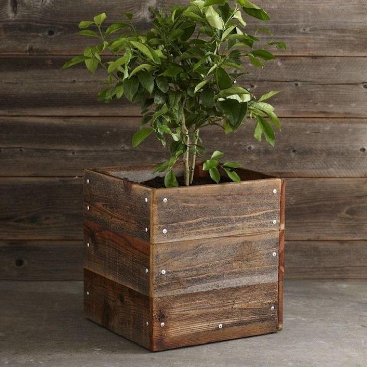 antique wooden plant stands