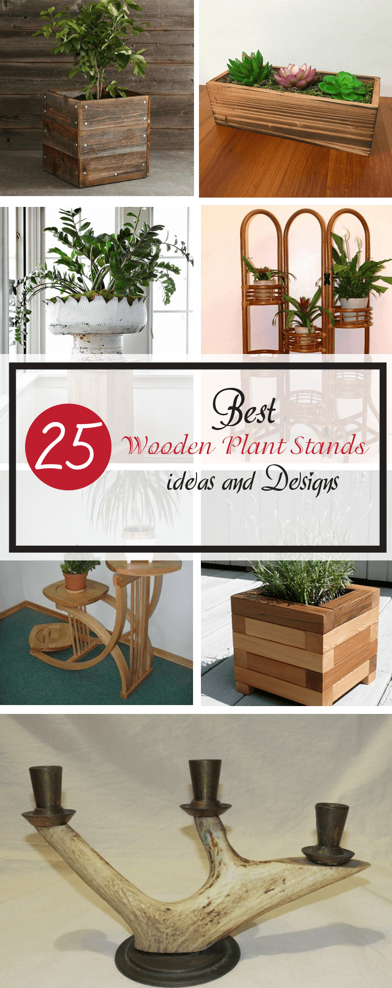 best wooden plant stands ideas and designs