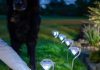 wireless lamps for garden