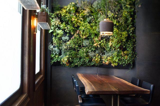 Living wall of climbing plants in black and white interior