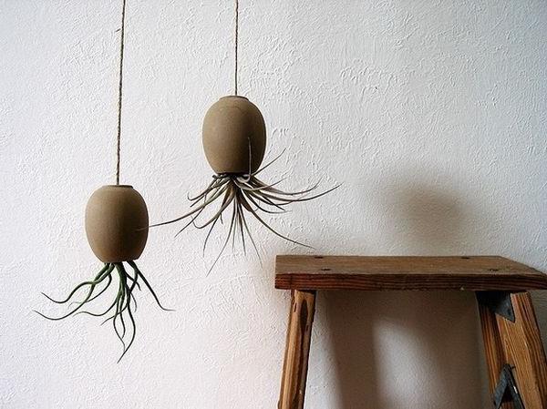 Rough ceramics as a bright component for hanging indoor gardens