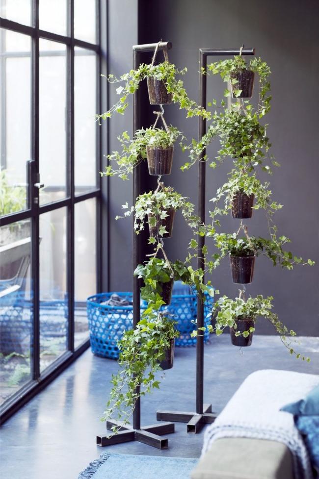 hanging plant holder ideas (Ivy plant decoration)