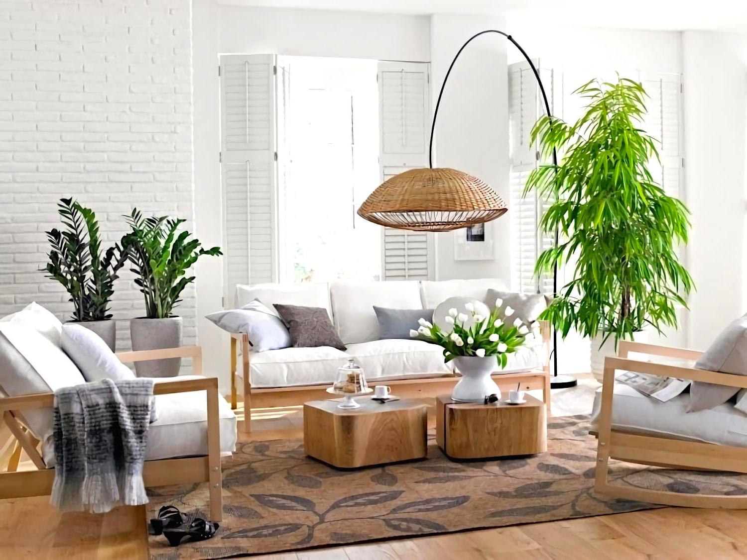 hanging plants decoration ideas