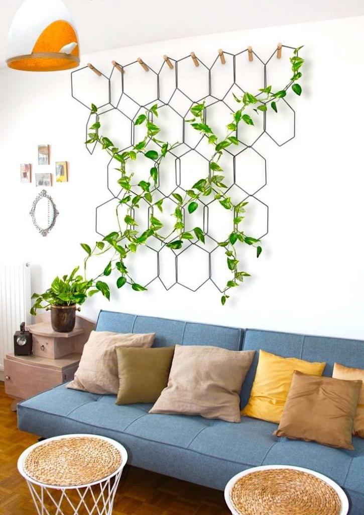 hanging plants in living room ideas