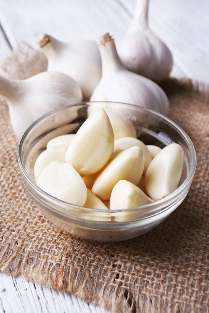 GARLIC AS AN ANTIBIOTIC